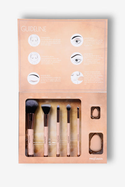 Professional Brush Vault SET